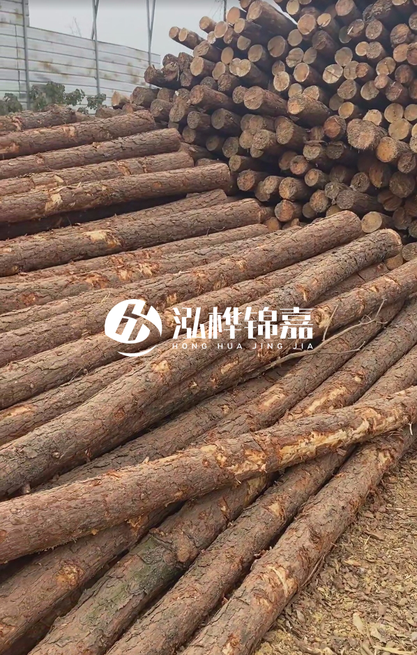 山西河道木樁護(hù)岸價(jià)格多少錢一米-每米河道打樁要花多少錢？