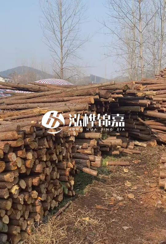 貴州打樁木材價(jià)格多少-打樁木材價(jià)格多少錢(qián)一立方？