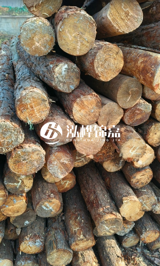 油松3米12公分多少錢(qián)一根？油松4米12公分多少錢(qián)一根？