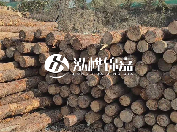 落葉松木材的主要產(chǎn)地在哪里？為什么比其他松木更耐腐蝕？