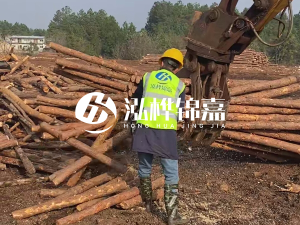 安徽松木樁選哪家-5米小頭10-12公分松木樁多少錢？