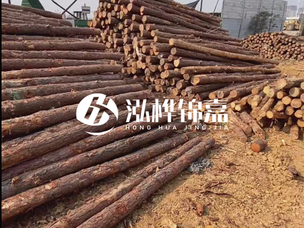 河道木樁施工遇到淤泥怎么辦？打多深才能防沖刷？