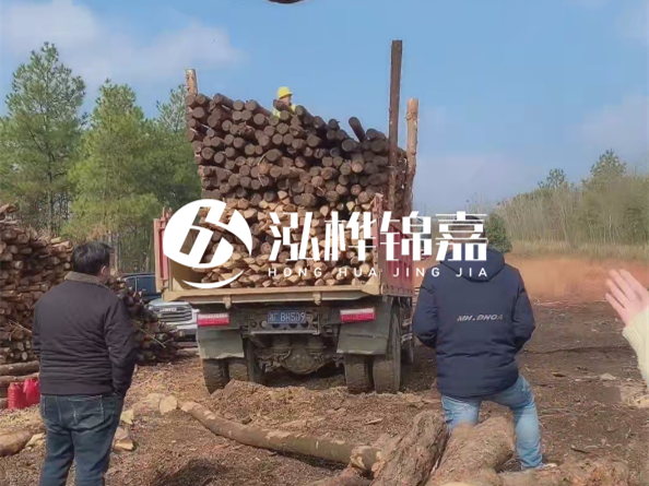 防腐木樁價(jià)格比普通木樁貴多少？防腐木樁有哪些處理方式？