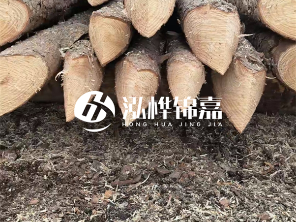 打樁木樁與鋼樁相比有哪些優(yōu)缺點(diǎn)？如何進(jìn)行后期維護(hù)？