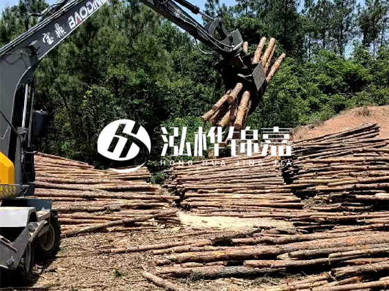 3米松木樁小頭10公分多少錢一根？大頭10公分又是多少錢？