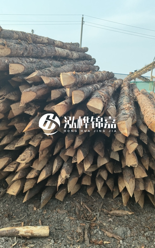 落葉松木材價格多少錢一立方？油松木材多少錢一立方？