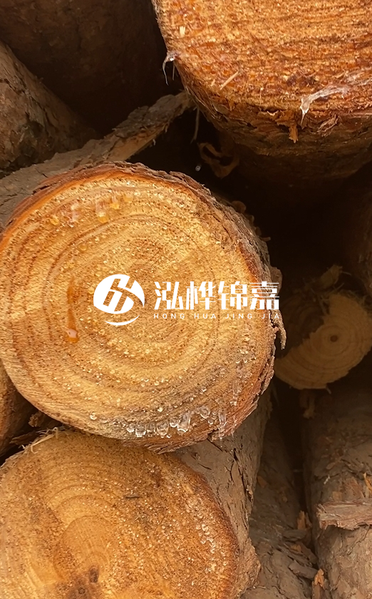 江西打樁木源頭廠家泓樺錦嘉-4米松木樁頭徑18cm多少錢？