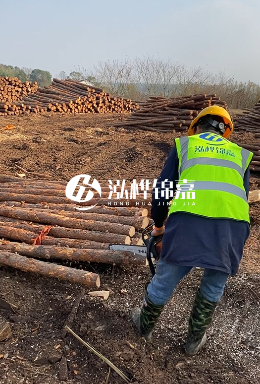 廣東松木樁3米生產(chǎn)廠家-3米直徑12松木樁多少錢？