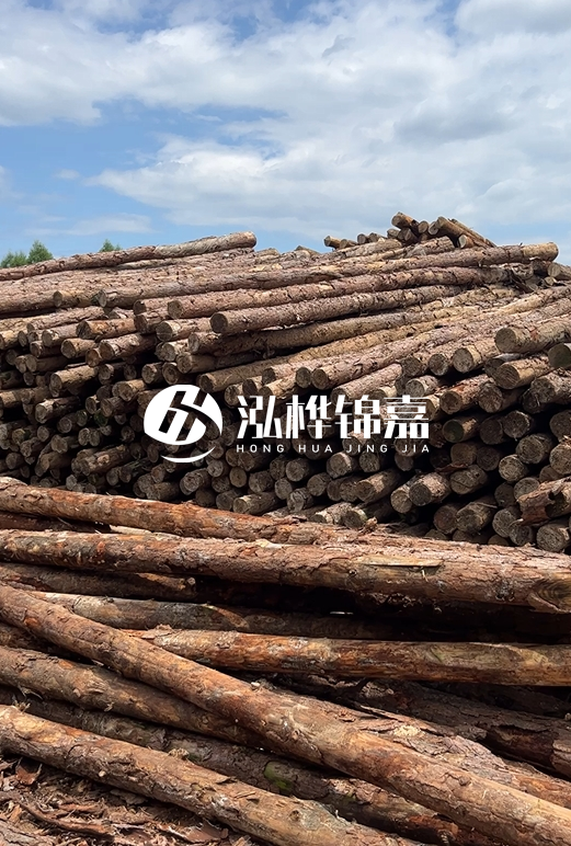 松木打樁木的價格波動受哪些因素影響？杉木樁能代替松木樁嗎？