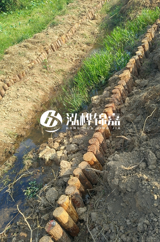 湖南松木樁批發(fā)廠家直銷-松木樁做碳化多少錢一根？