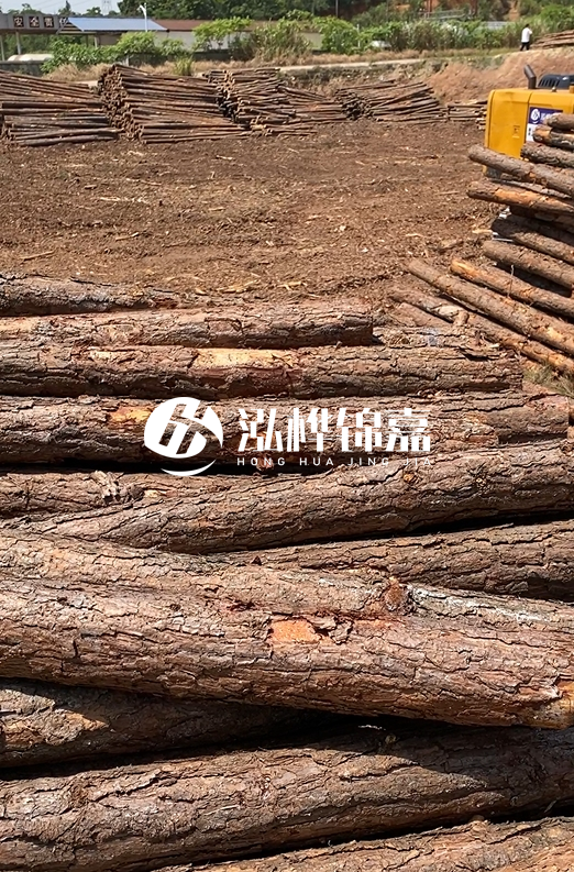 陜西河道木樁源頭廠家泓樺錦嘉-3米大頭11-13厘米多少錢一根？