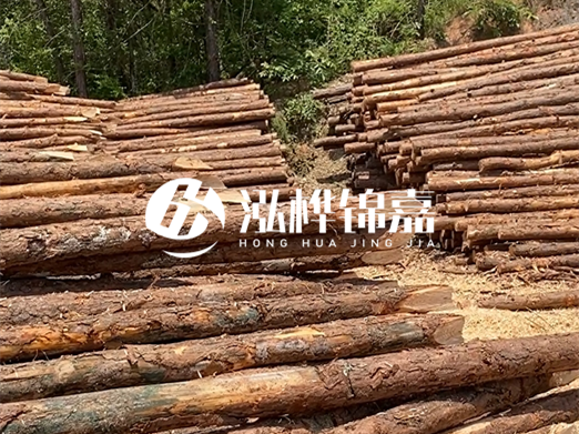 松木樁的運(yùn)輸費(fèi)用是否包含卸車費(fèi)？卸貨時(shí)需要注意哪些安全問題？