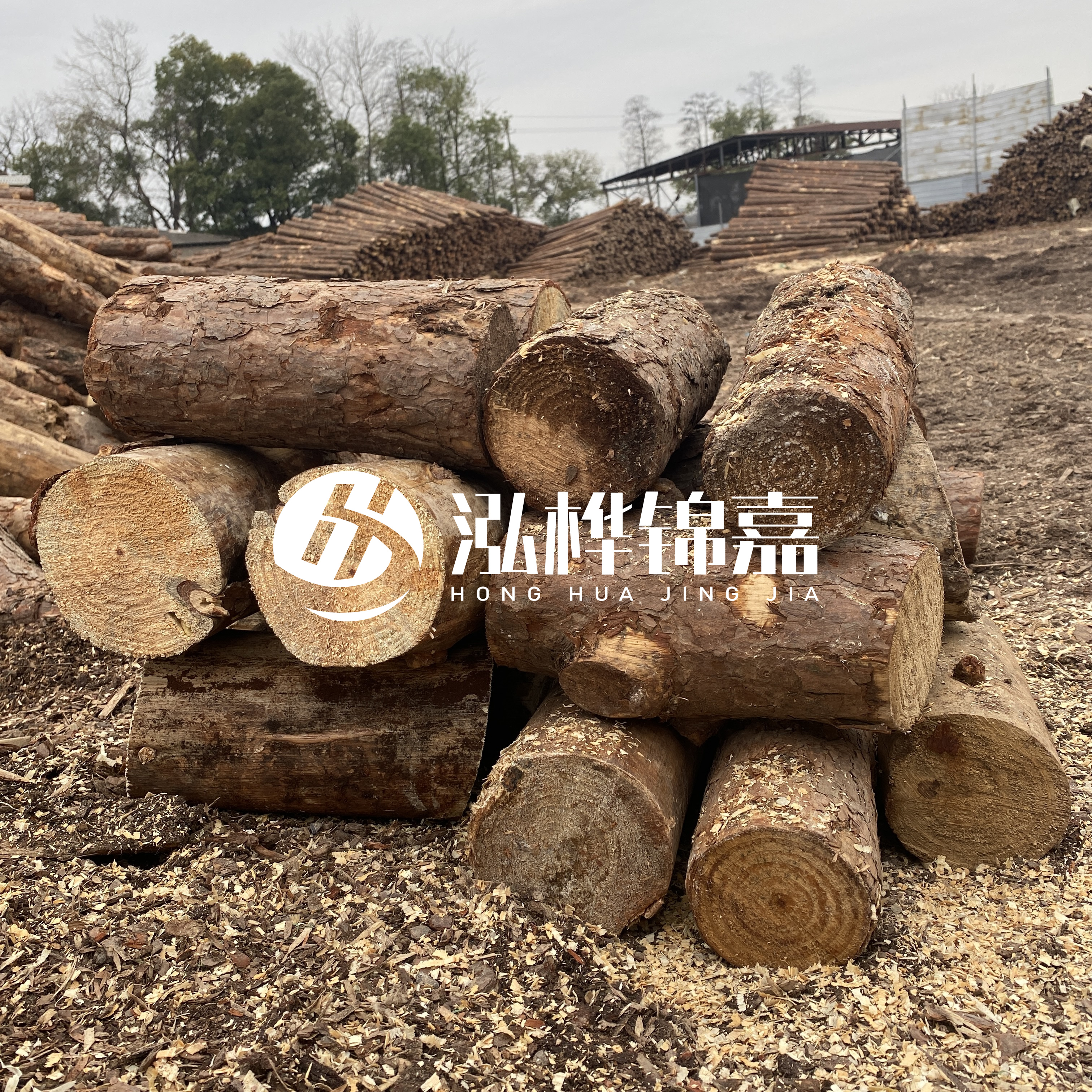 打樁木邊角料能做什么用途？怎么賣的？