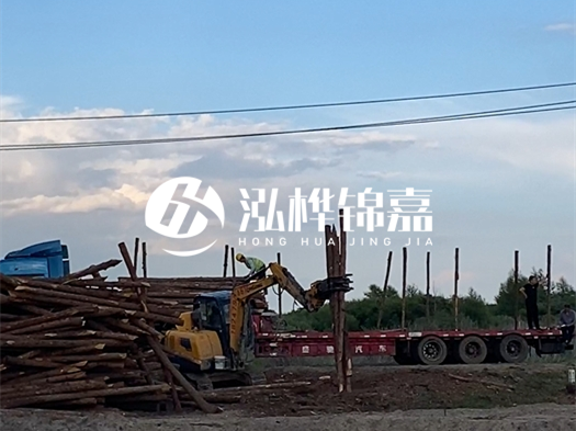 河北打樁木源頭廠家泓樺錦嘉 - 北方常用打樁木是什么？