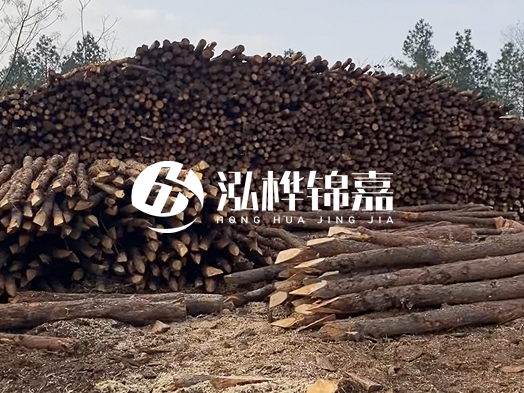 地基打木樁用什么木材 - 地基打木樁的能撐幾年？