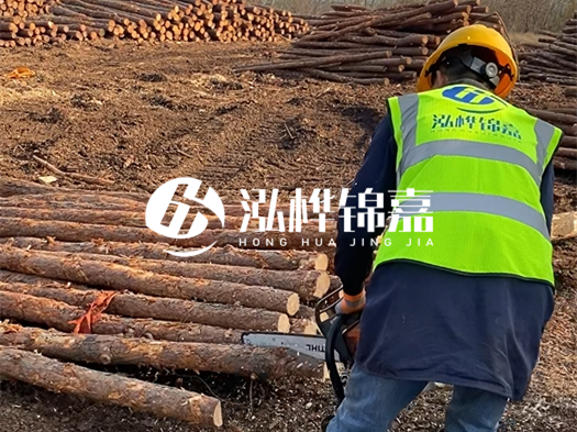 哪些木樁廠家能提供快速定制服務(wù)？哪些木樁廠家在國內(nèi)有多個生產(chǎn)基地？