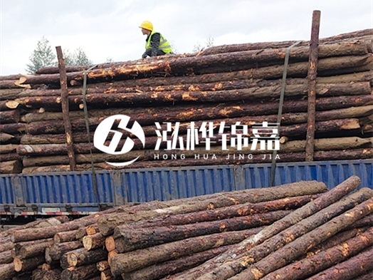 防洪防汛用松木樁的單價是多少？4米長10公分多少錢一根？