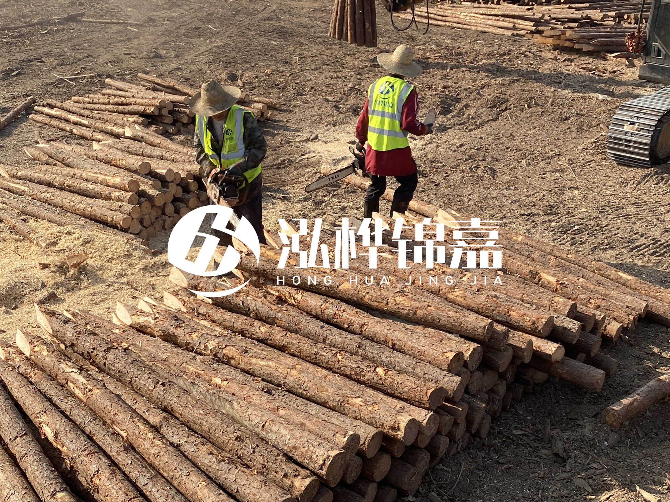 河道木樁報價在汛期前后會有波動嗎？什么時候買最便宜？