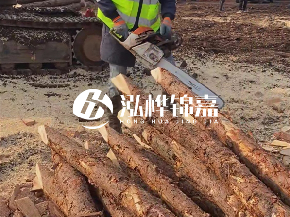 松木樁河道護坡怎么施工？打樁多少錢一根？