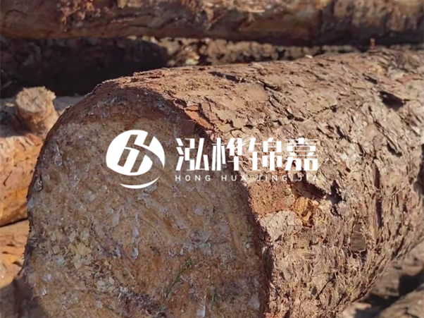 松木樁如何做到千年不腐的？松木樁打地基耐用年限揭秘