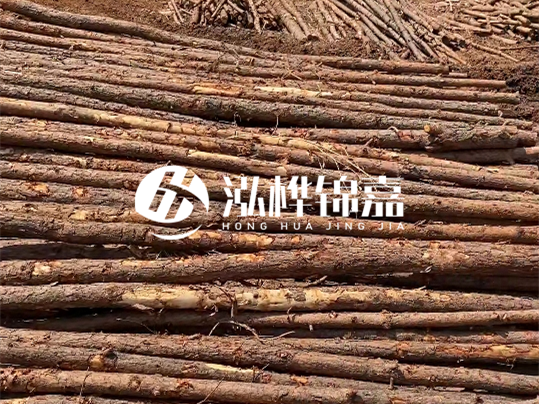 10公分的木材多少根為一方 - 4米10公分樹(shù)多少根為一方？