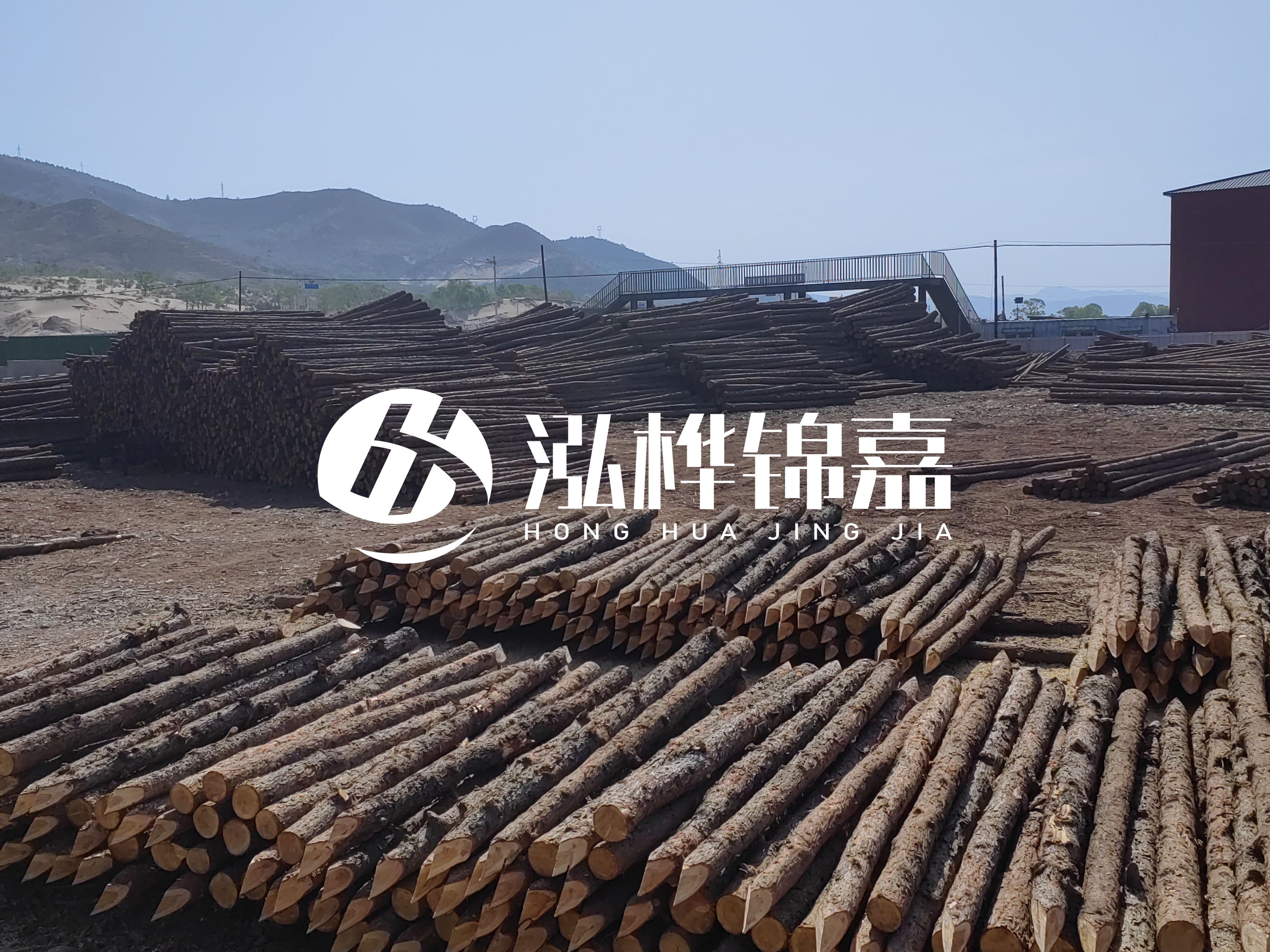 江蘇打樁木源頭廠家泓樺錦嘉-4米打樁木大頭14-16小頭一般多少？