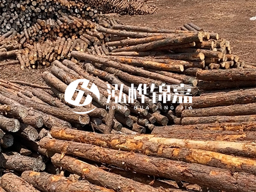 浙江打樁木源頭廠家泓樺錦嘉-松木廠家批發(fā)電話地址？