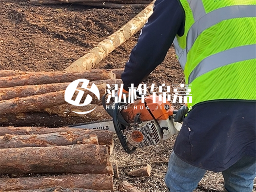 河道打木樁多少錢(qián)一根？5米直徑10松木樁打樁多少錢(qián)？