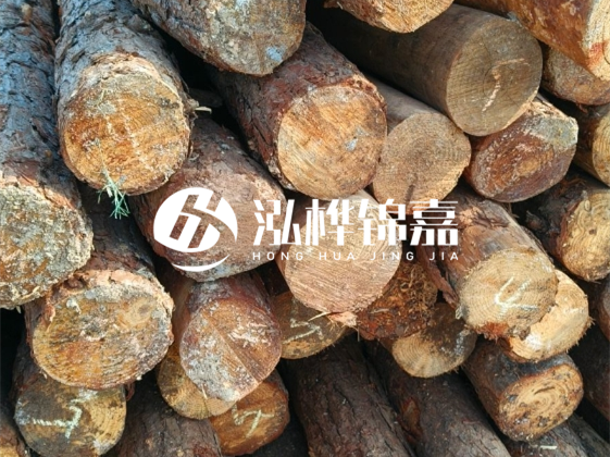 廣東松木樁源頭廠家地址在哪里-泓樺錦嘉屬于什么檔次？