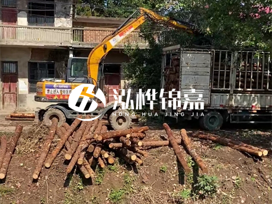 怎么把松木樁打到土里？松木樁要打進去多深？