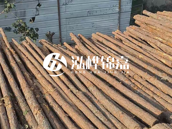 松木樁打樁后清淤怎么處理？有沒有全包的公司？