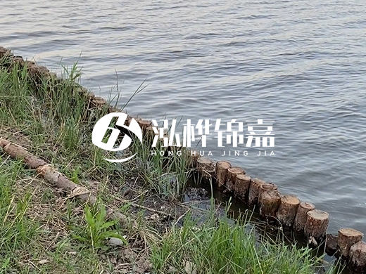 防洪松木樁施工重要性？河道打木樁的位置怎么確定？
