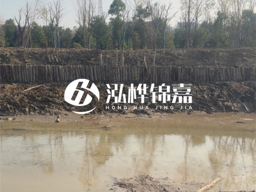 松木樁打樁木的采購渠道有哪幾種？3米小頭13CM多少錢一根？