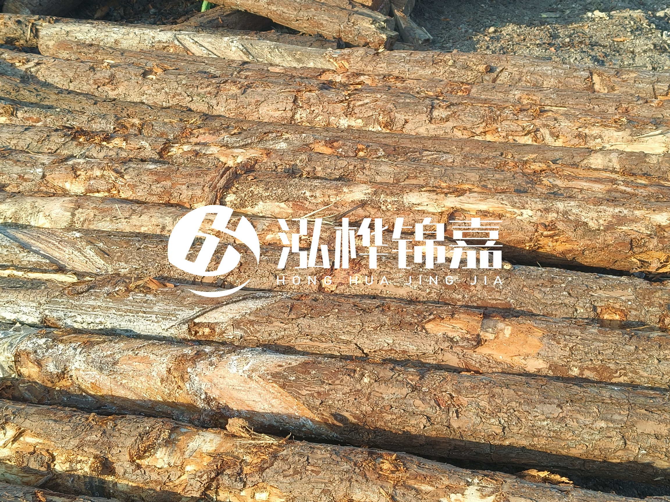 河道木樁的含水率過高會有什么問題？怎么檢查松木樁含水率？