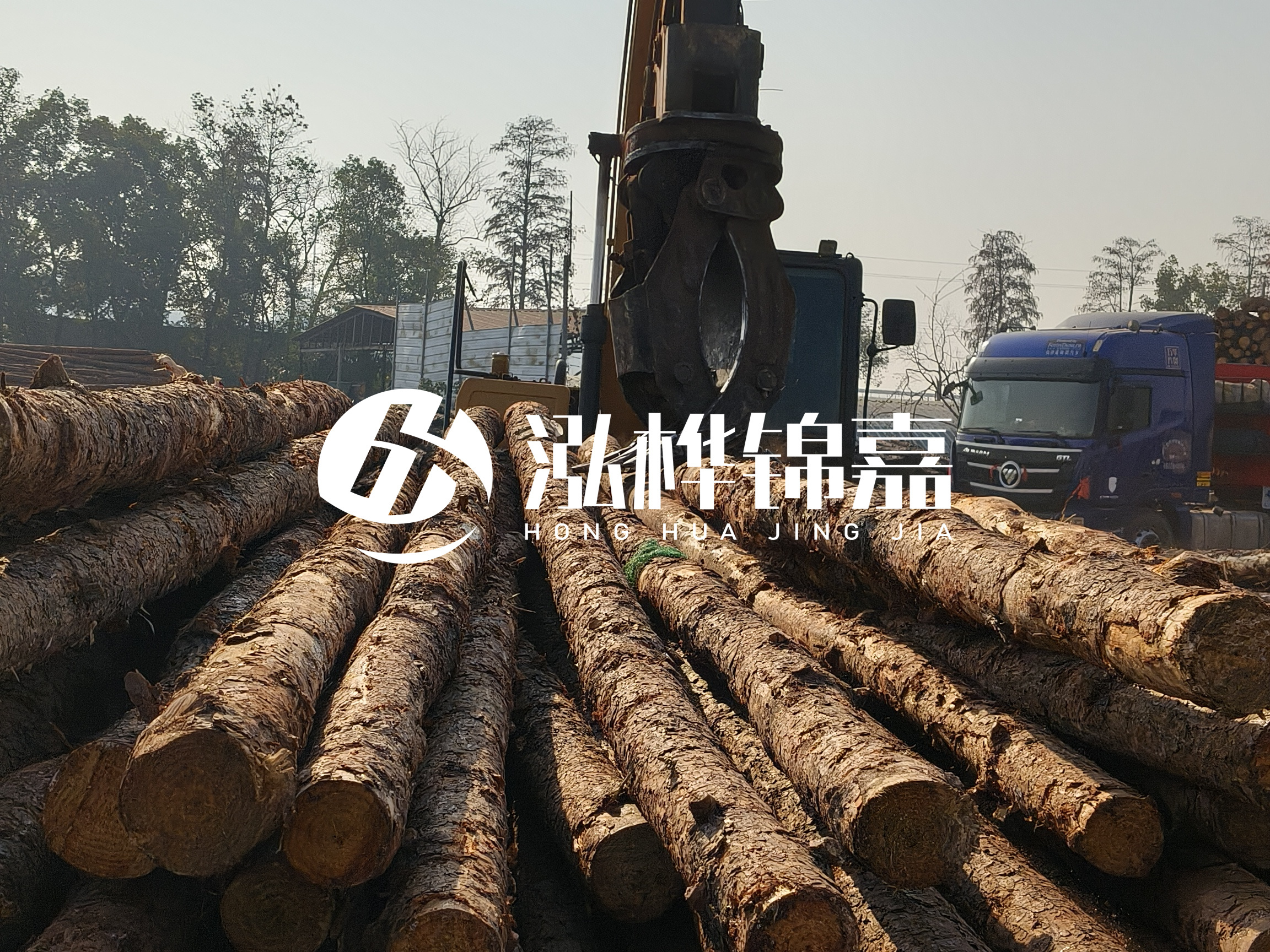 松木樁可以用來做什么？常用于哪些工程？