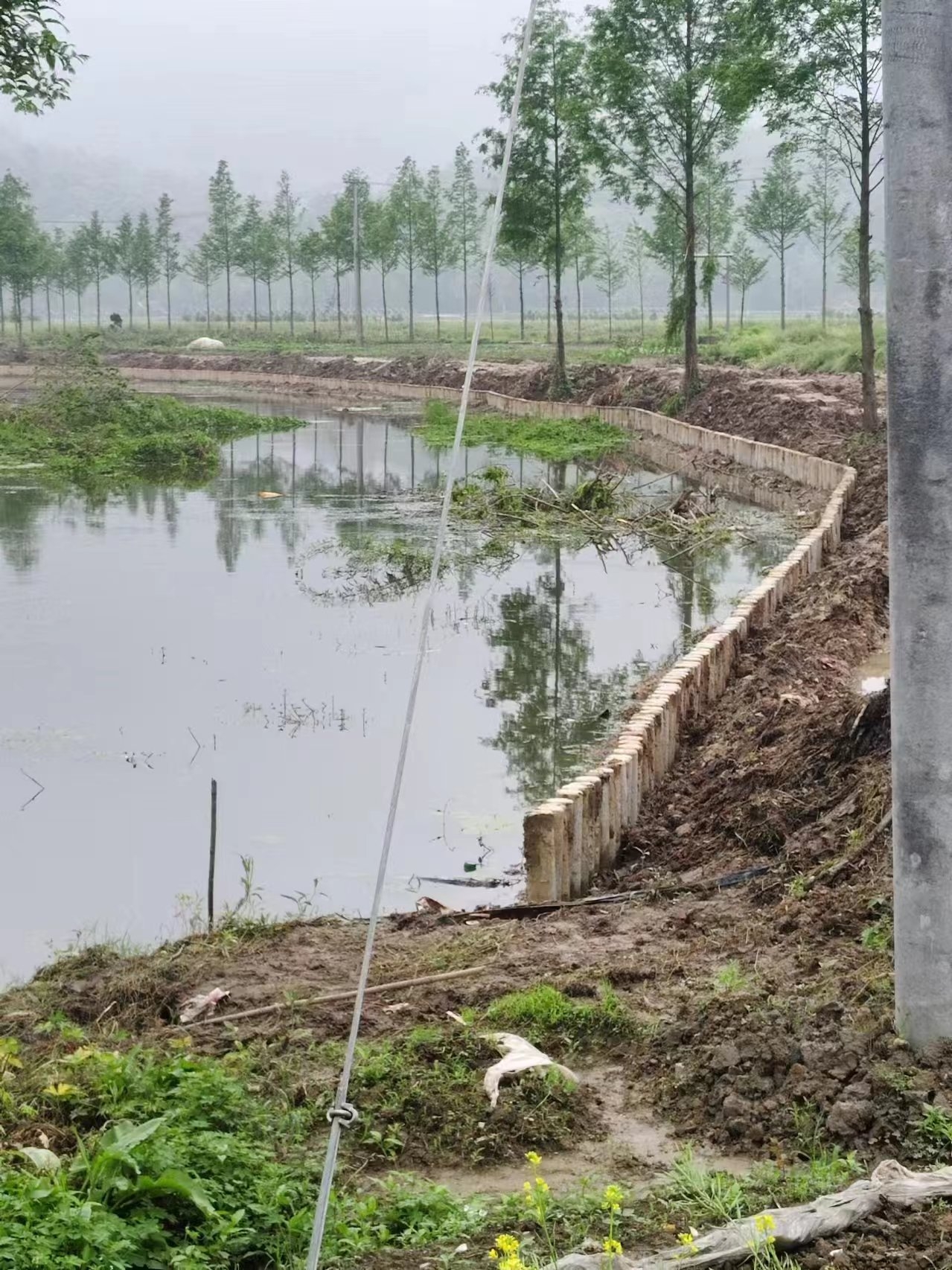 湖南水泥樁施工隊泓樺錦嘉-打水泥樁需要注意哪些事項？