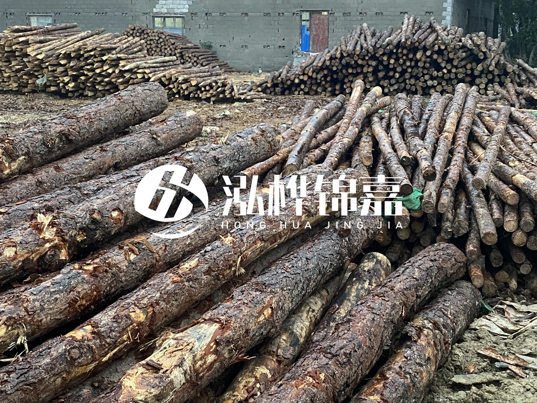 松木樁批發(fā)廠(chǎng)家泓樺錦嘉 - 河道松木樁如何選擇優(yōu)質(zhì)木材？