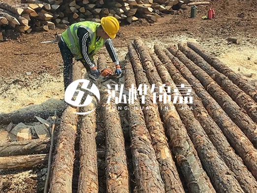 松木樁批發(fā)廠家泓樺錦嘉-河道打樁木施工中怎么防止樁頭被打壞？