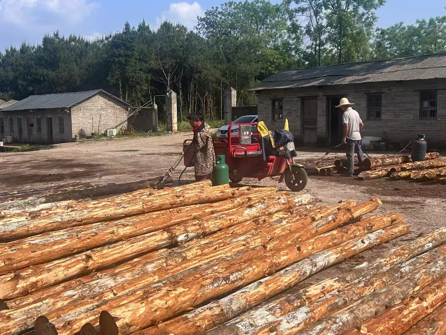 松木樁批發(fā)廠家泓樺錦嘉-圍堰松木樁為什么要交錯排列？