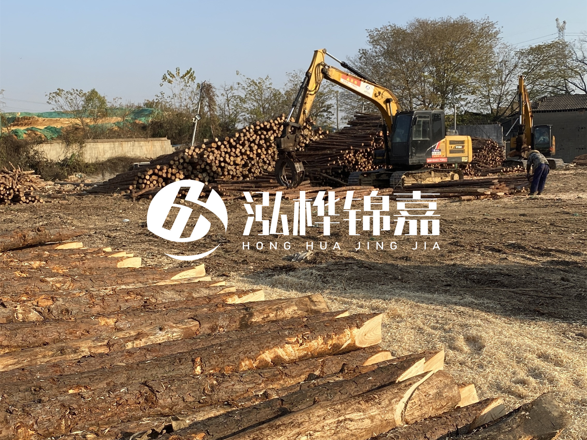 松木樁批發(fā)廠家泓樺錦嘉-松木樁廠家能開發(fā)票嗎？