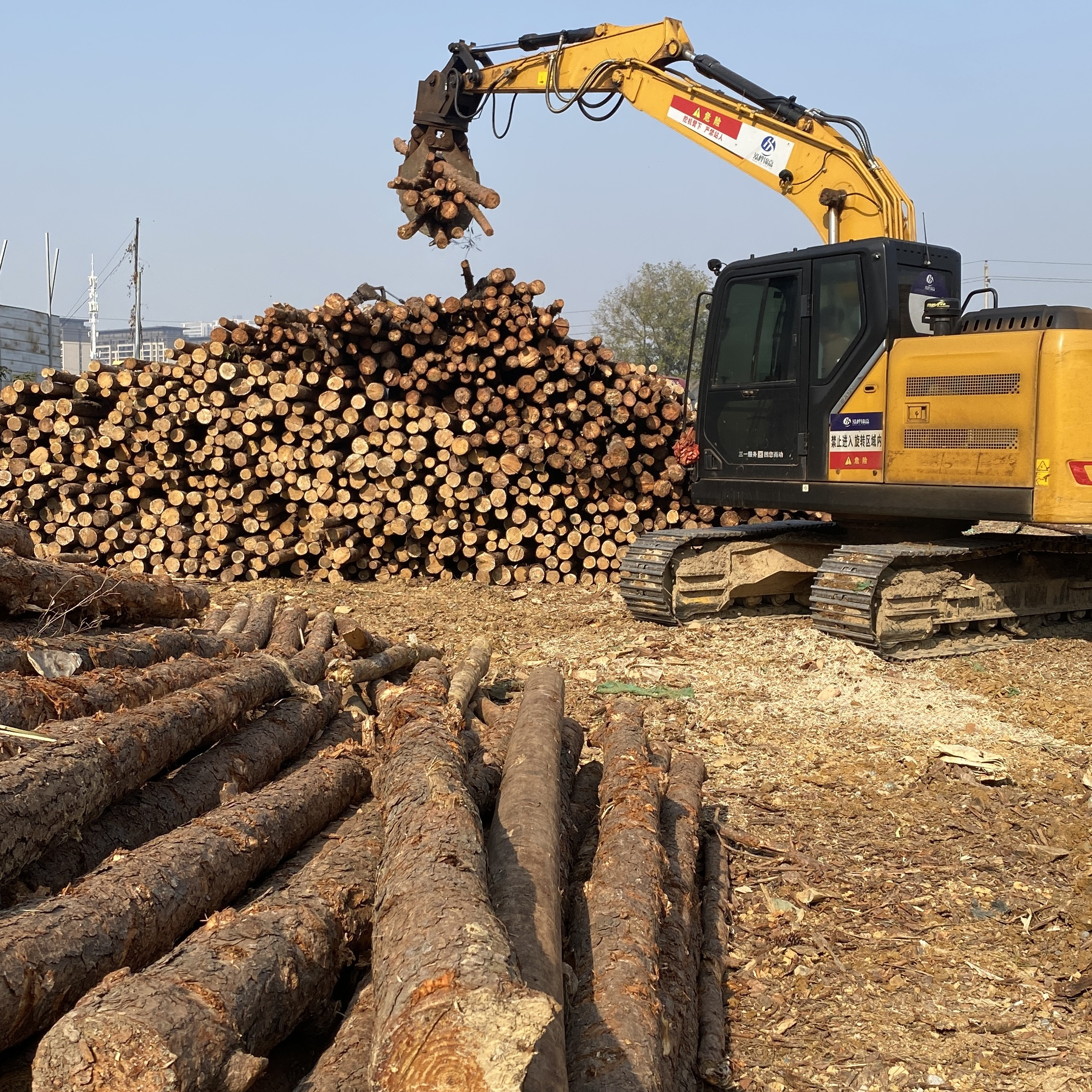 松木樁廠家泓樺錦嘉-濕地松原木的價格大概是多少？