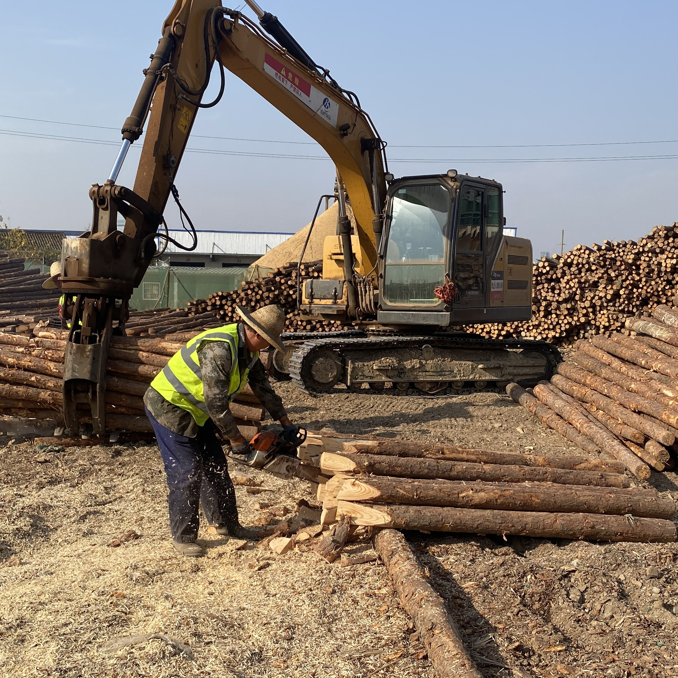 松木樁廠家泓樺錦嘉-工程打樁木選擇落葉松還是濕地松更耐腐蝕？