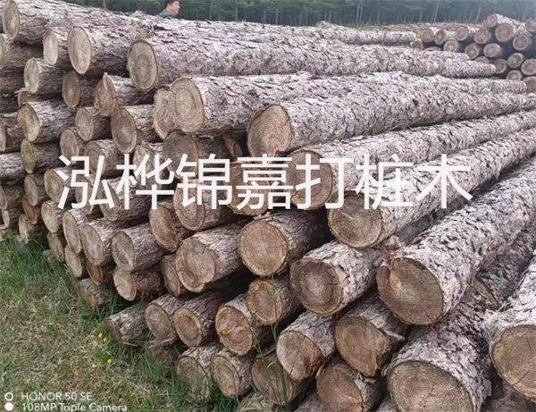 高效修補(bǔ)，保駕護(hù)航！水泥路面高強(qiáng)度修補(bǔ)料為您解決煩惱！