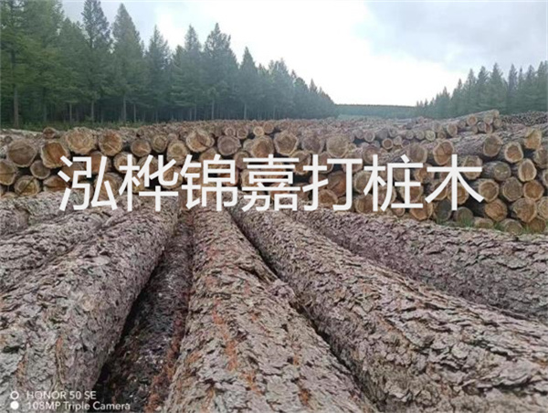 高效施工，圓松木樁助力建筑工程進展順利