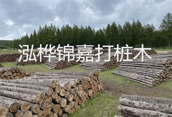 預(yù)制松木樁施工工藝：優(yōu)質(zhì)材料，高效快速，堅固耐用