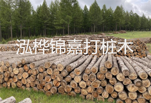 松木樁能施工嗎？探究視頻揭秘真相！