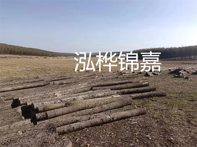 以質(zhì)量為導(dǎo)向，探索實用性與高效性——仿松木樁施工機械價格