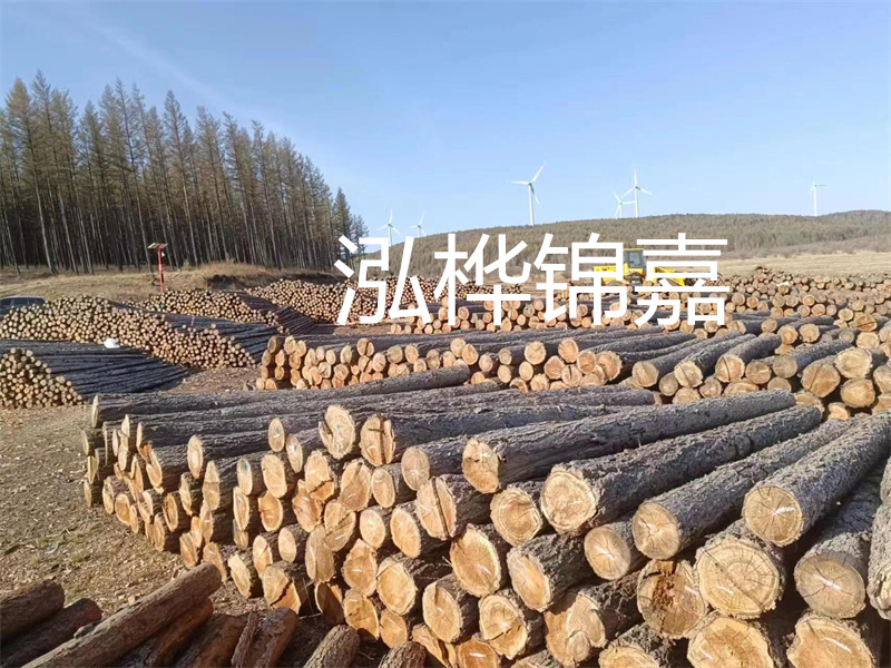 用路基松木樁施工方案提升工程質(zhì)量描述：了解路基松木樁施工方案的重要性，提高工程質(zhì)量關(guān)鍵詞：路基松木樁，施工方案，工程質(zhì)量