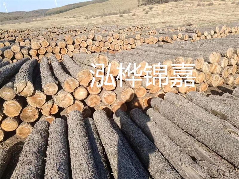 鹽城松木樁河道圍堰施工，保護(hù)生態(tài)環(huán)境，打造美麗城市